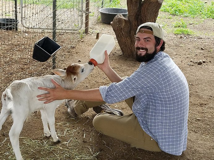 Farm Animals for Sale